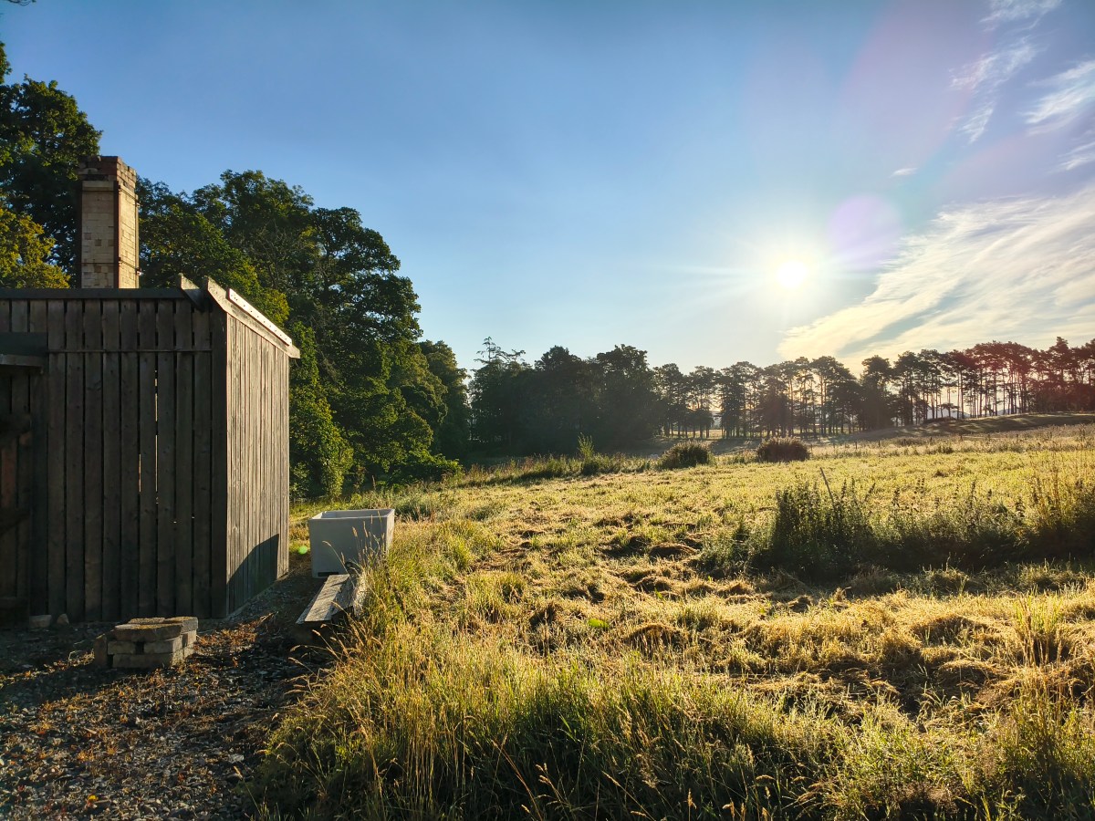 Woodfiring in Scotland August&nbsp;2026